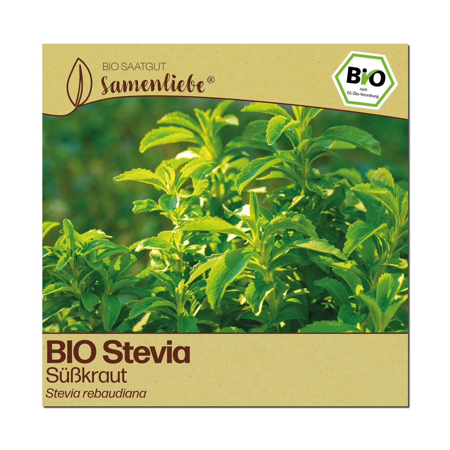 BIO Stevia "Süßkraut"