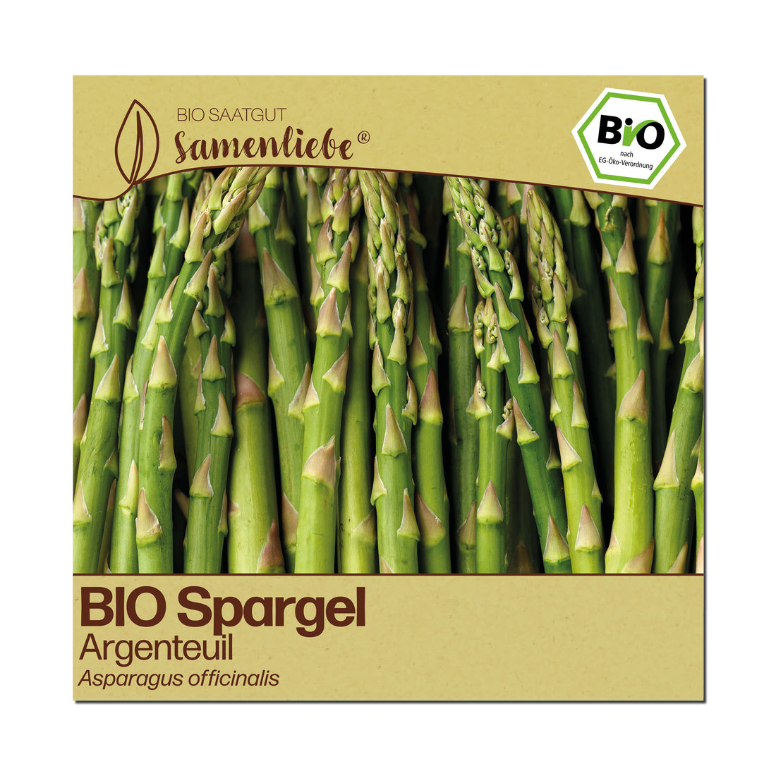 BIO Spargel "Argenteuil"