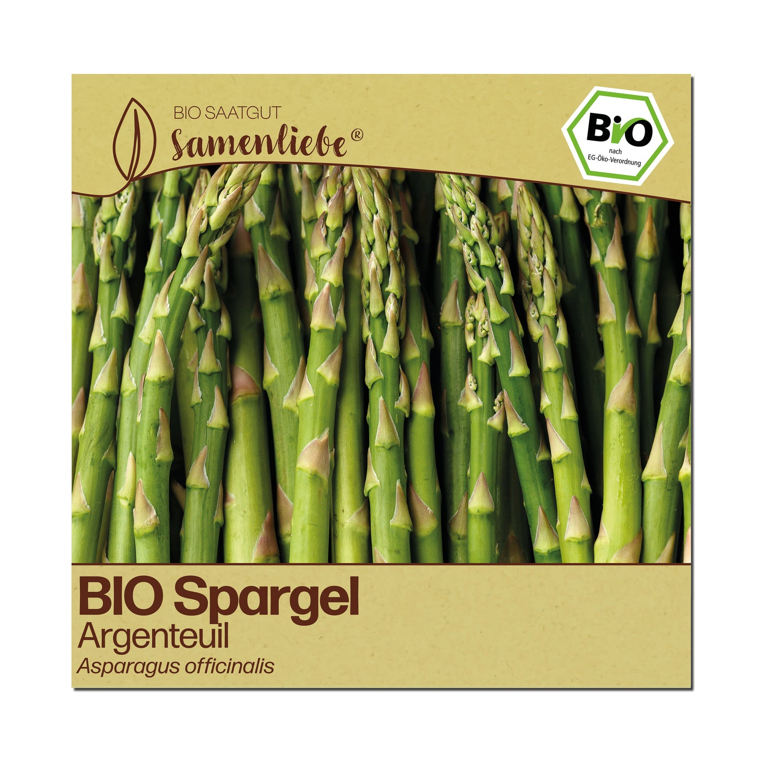 BIO Spargel "Argenteuil"