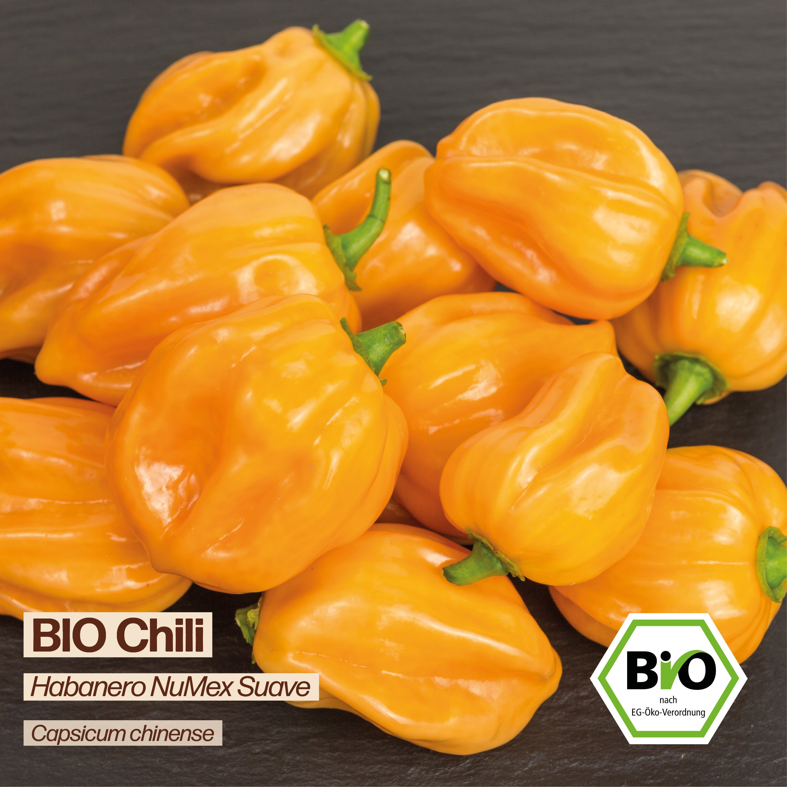 BIO Chili "NuMex Suave"