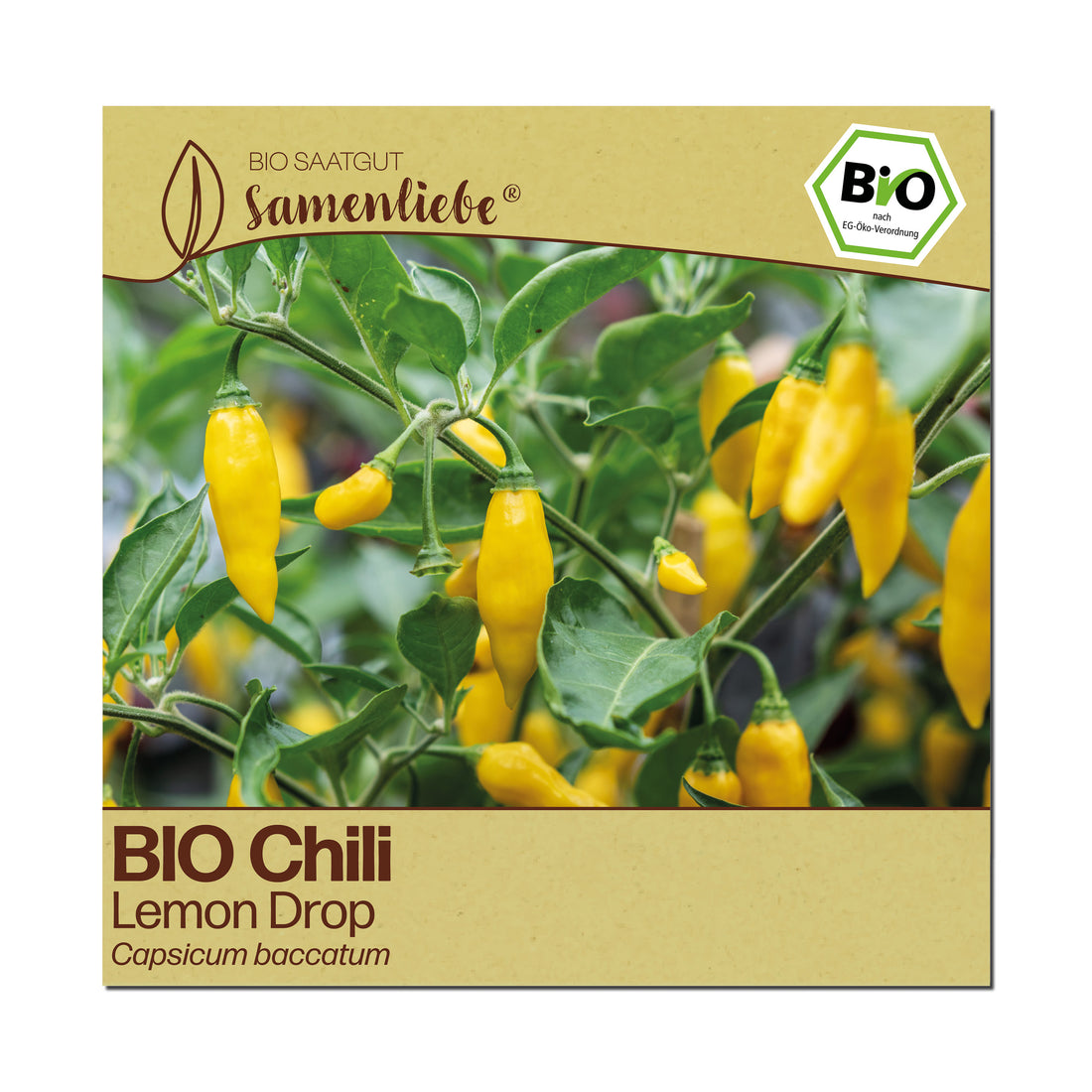 BIO Chili "Lemon Drop"