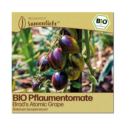 BIO Tomate "Brad&
