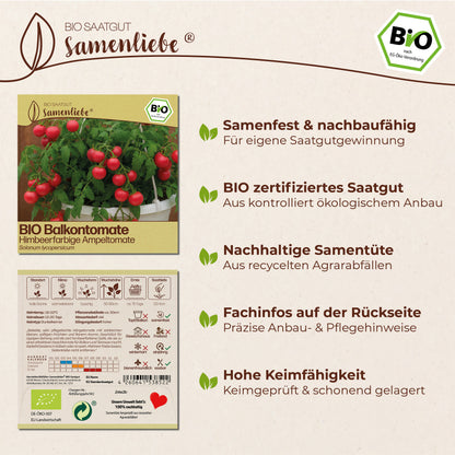 BIO Tomate "Himbeerfarbige Ampeltomate"