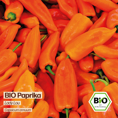 BIO Paprika "Lady Lou"