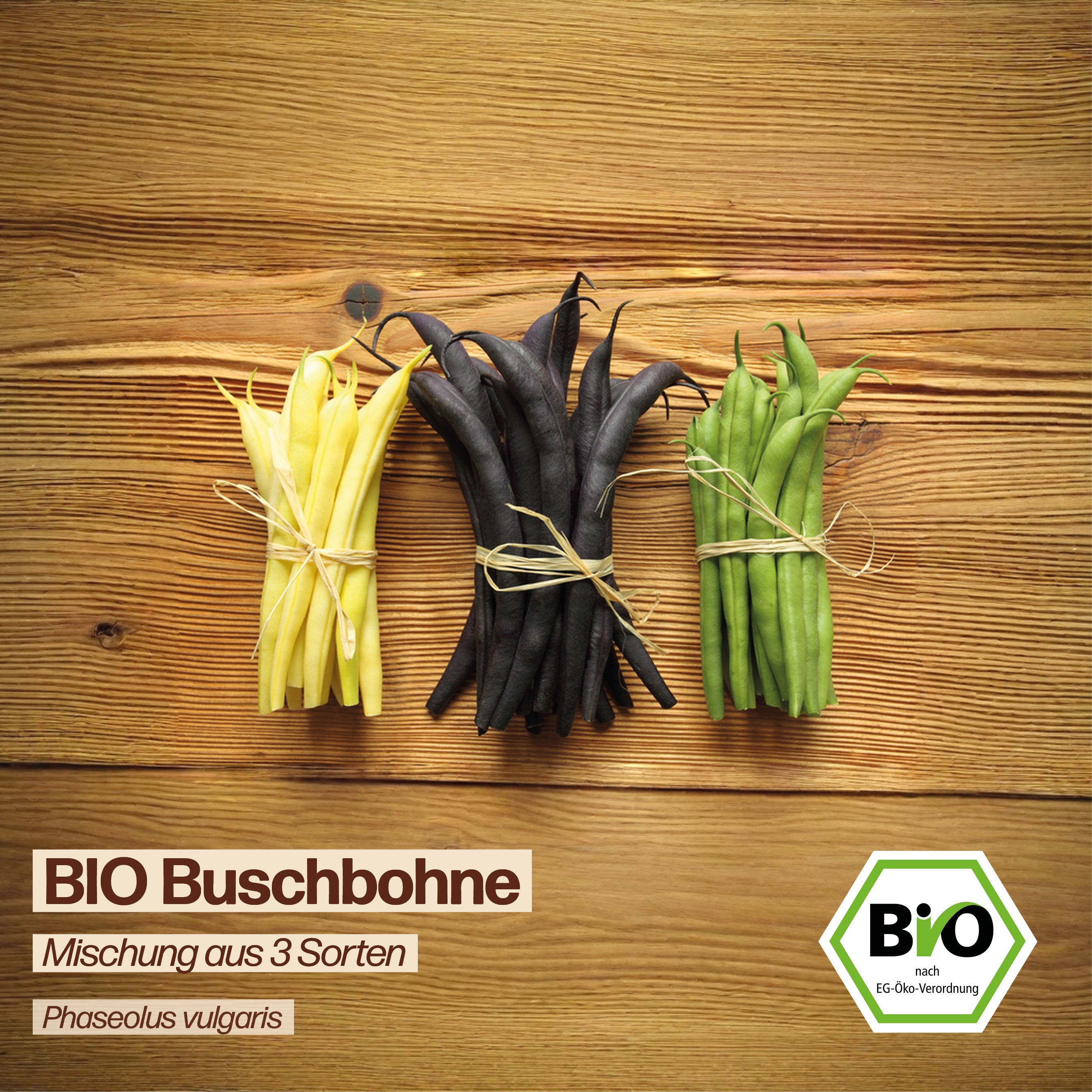 BIO Bohne "Mischung aus 3 Sorten"