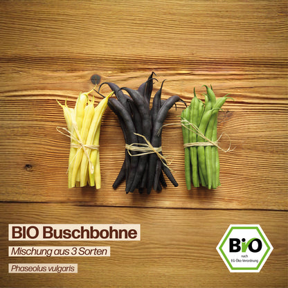 BIO Bohne "Mischung aus 3 Sorten"