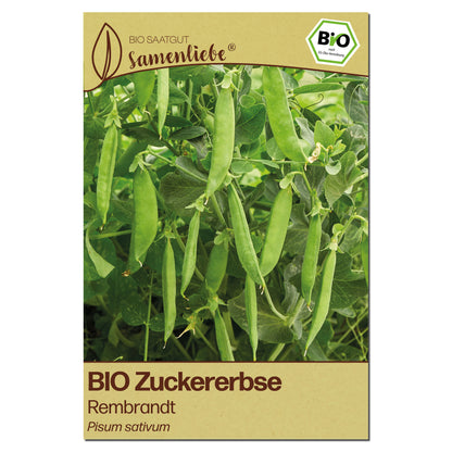 BIO Erbse "Rembrandt"