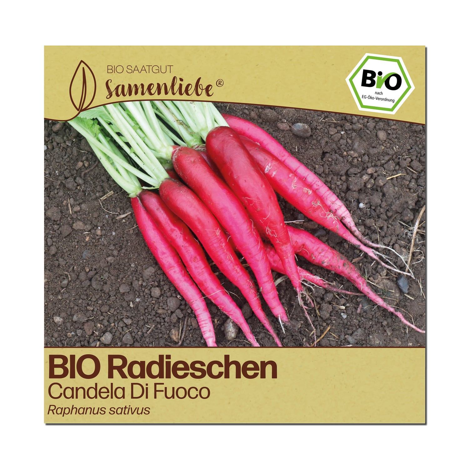 BIO Radieschen "Candela Di Fuoco"