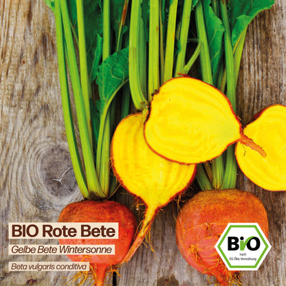 BIO Rote Bete "Wintersonne"