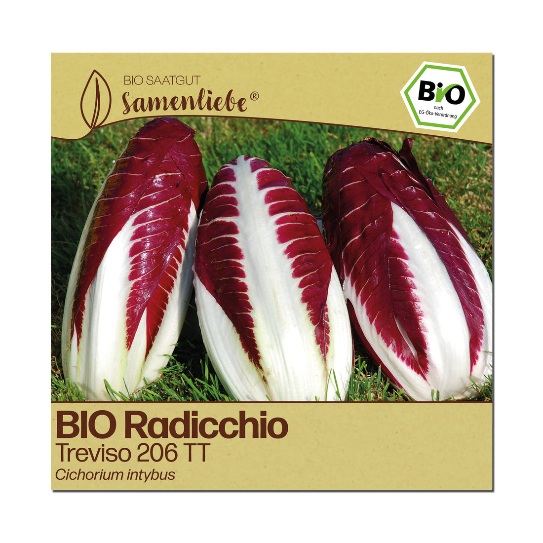 BIO Radicchio "Treviso 206 TT"