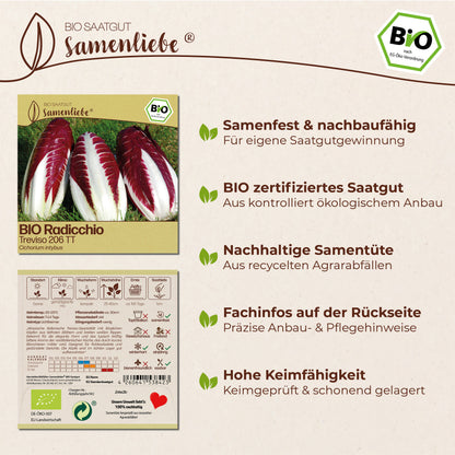 BIO Radicchio "Treviso 206 TT"