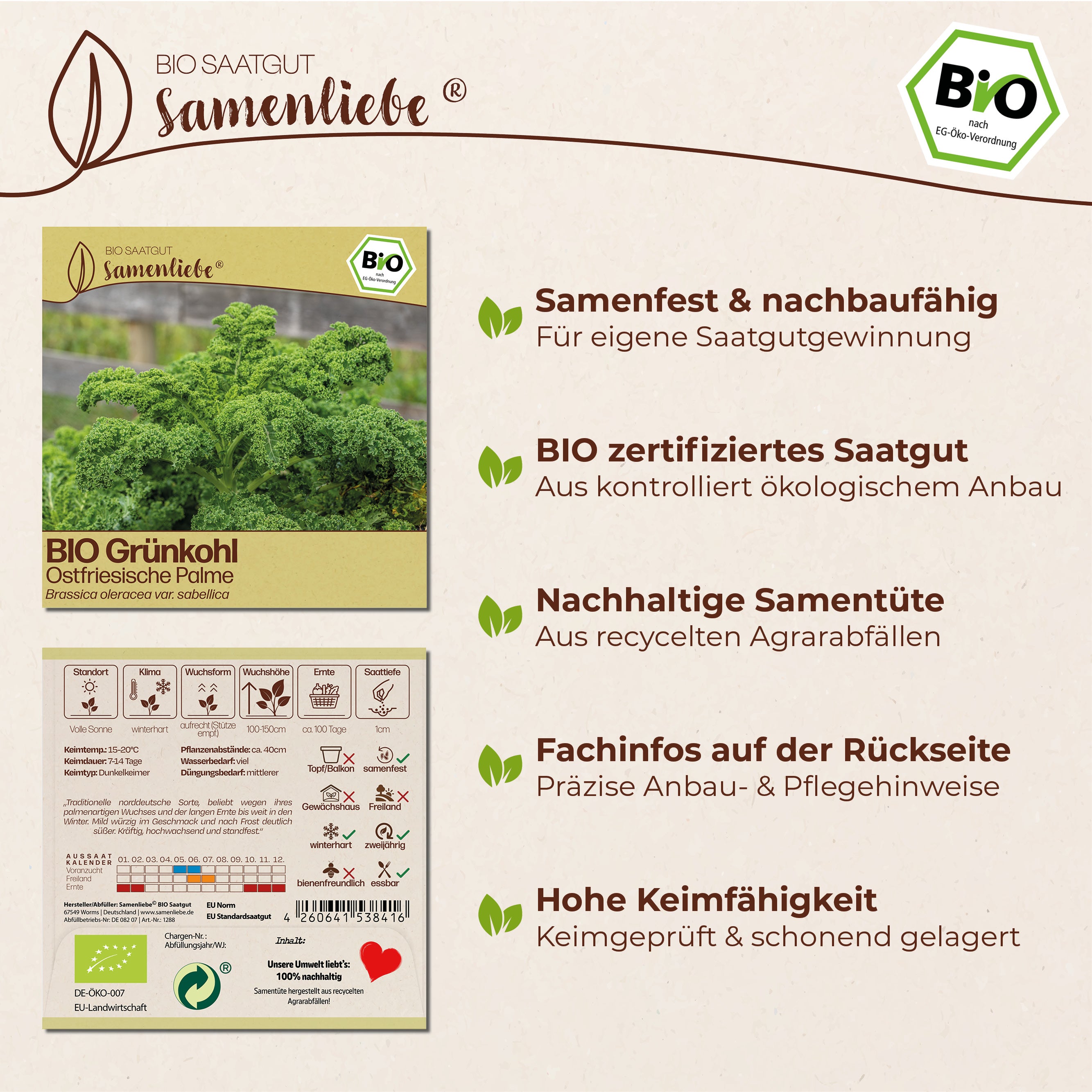 BIO Grünkohl "Ostfriesische Palme"