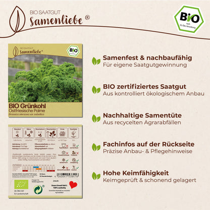 BIO Grünkohl "Ostfriesische Palme"