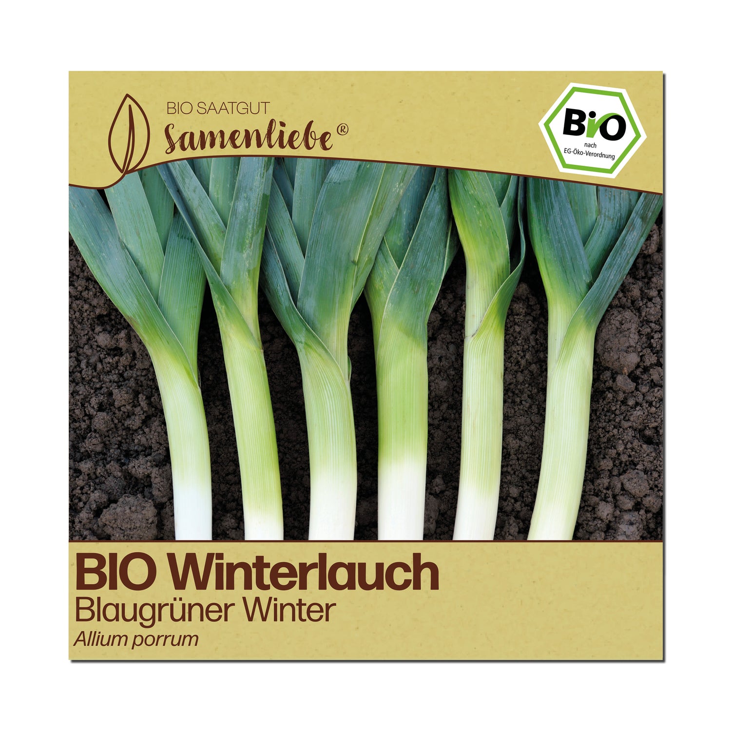 BIO Lauch "Blaugrüner Winter"