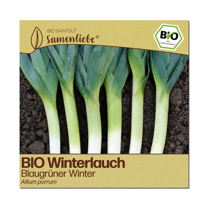 BIO Lauch "Blaugrüner Winter"