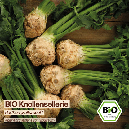 BIO Knollensellerie "Porthos - Kultursaat"