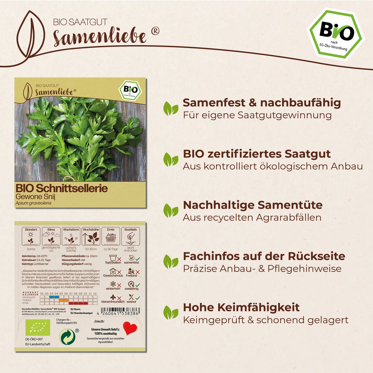 BIO Schnittsellerie "Gewone Snij"