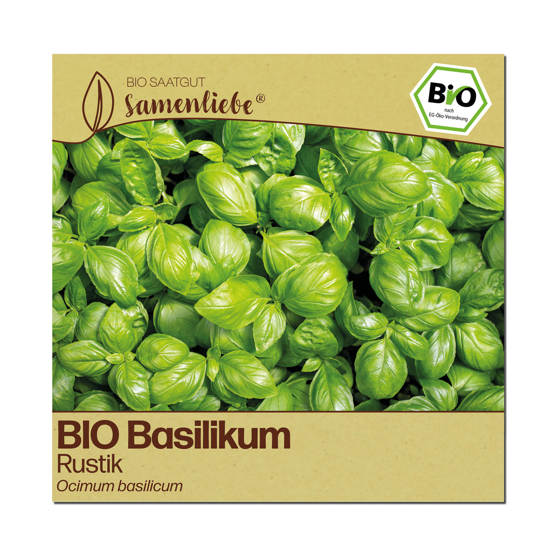 BIO Basilikum "Rustik"
