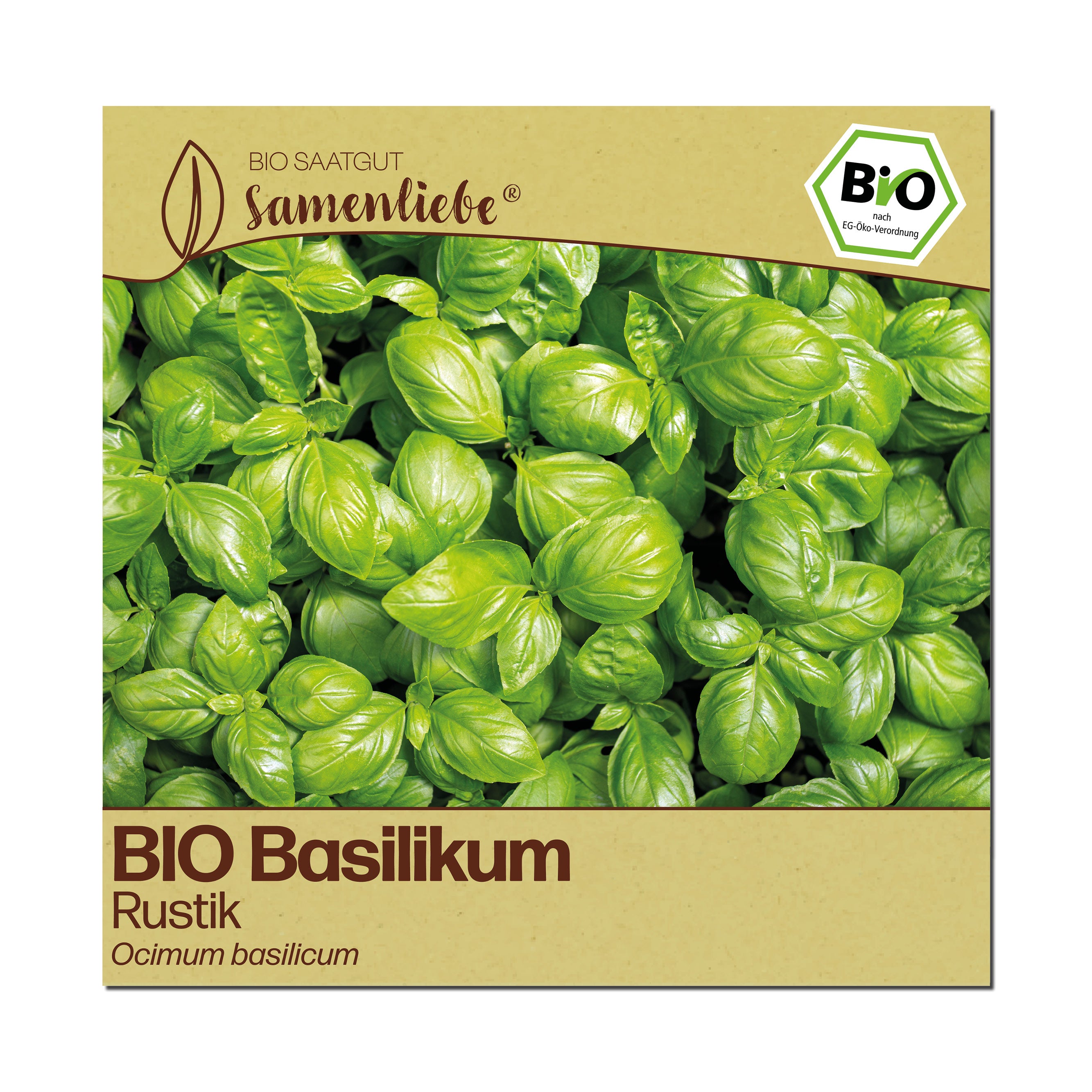 BIO Basilikum "Rustik"