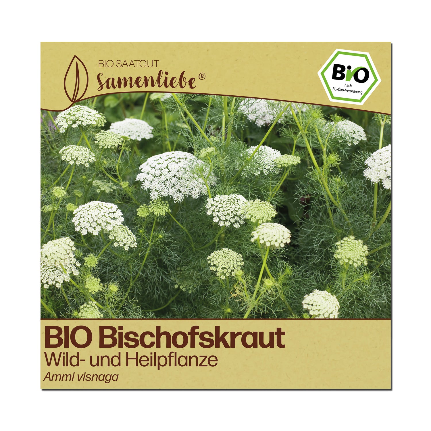 BIO Bischofskraut "Wildblume"