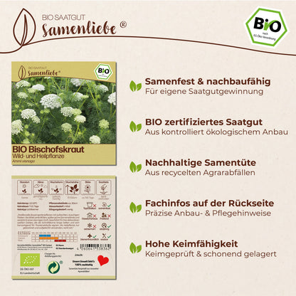 BIO Bischofskraut "Wildblume"
