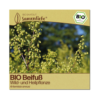 BIO Beifuß "Gemeiner Beifuß"