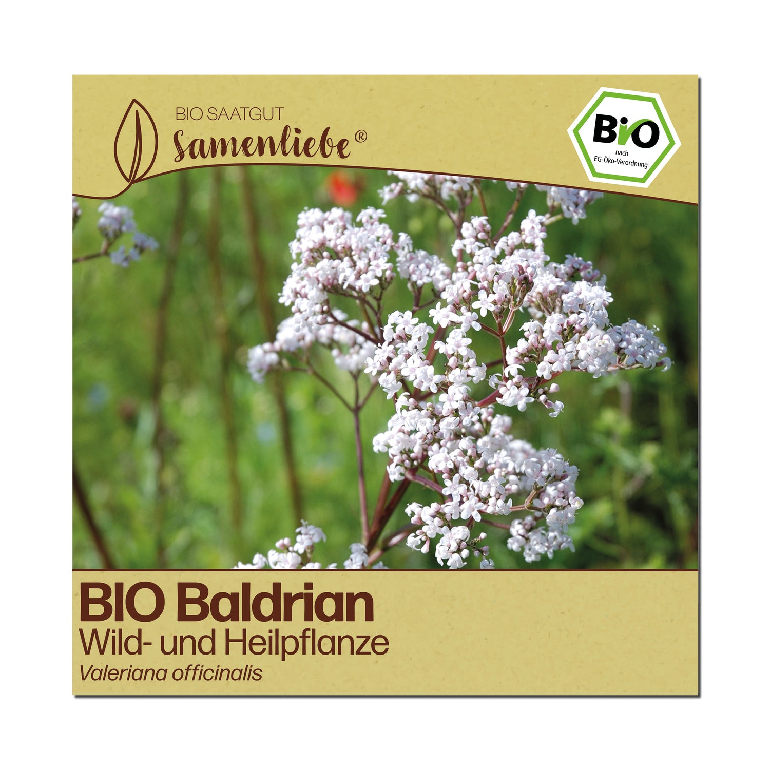 BIO Baldrian "Wildblume"