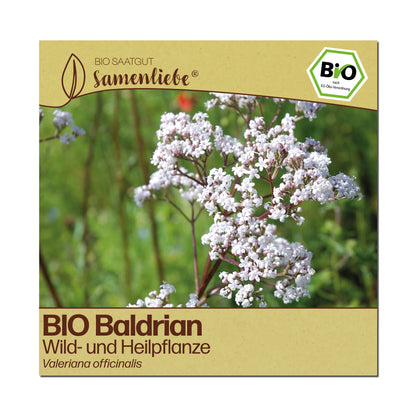 BIO Baldrian "Wildblume"