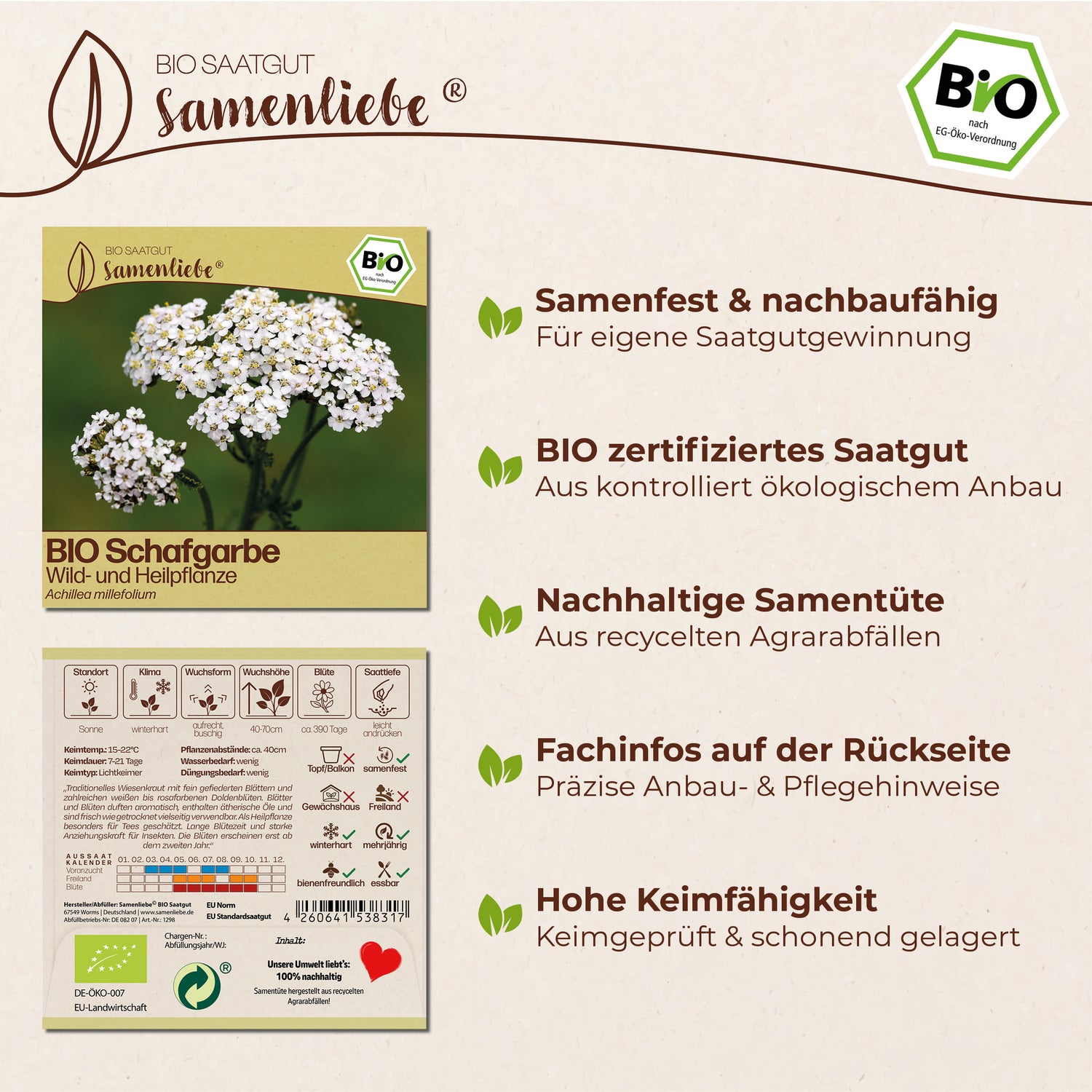 BIO Schafgarbe "Wildblume"