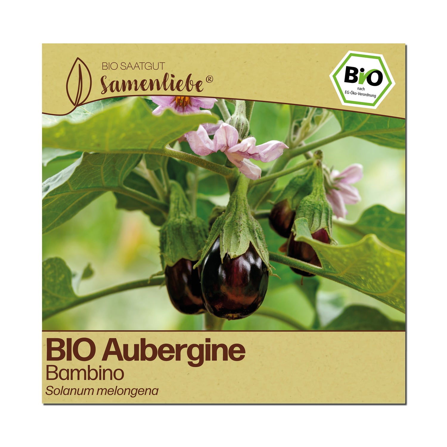 BIO Aubergine "Bambino"