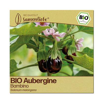 BIO Aubergine "Bambino"
