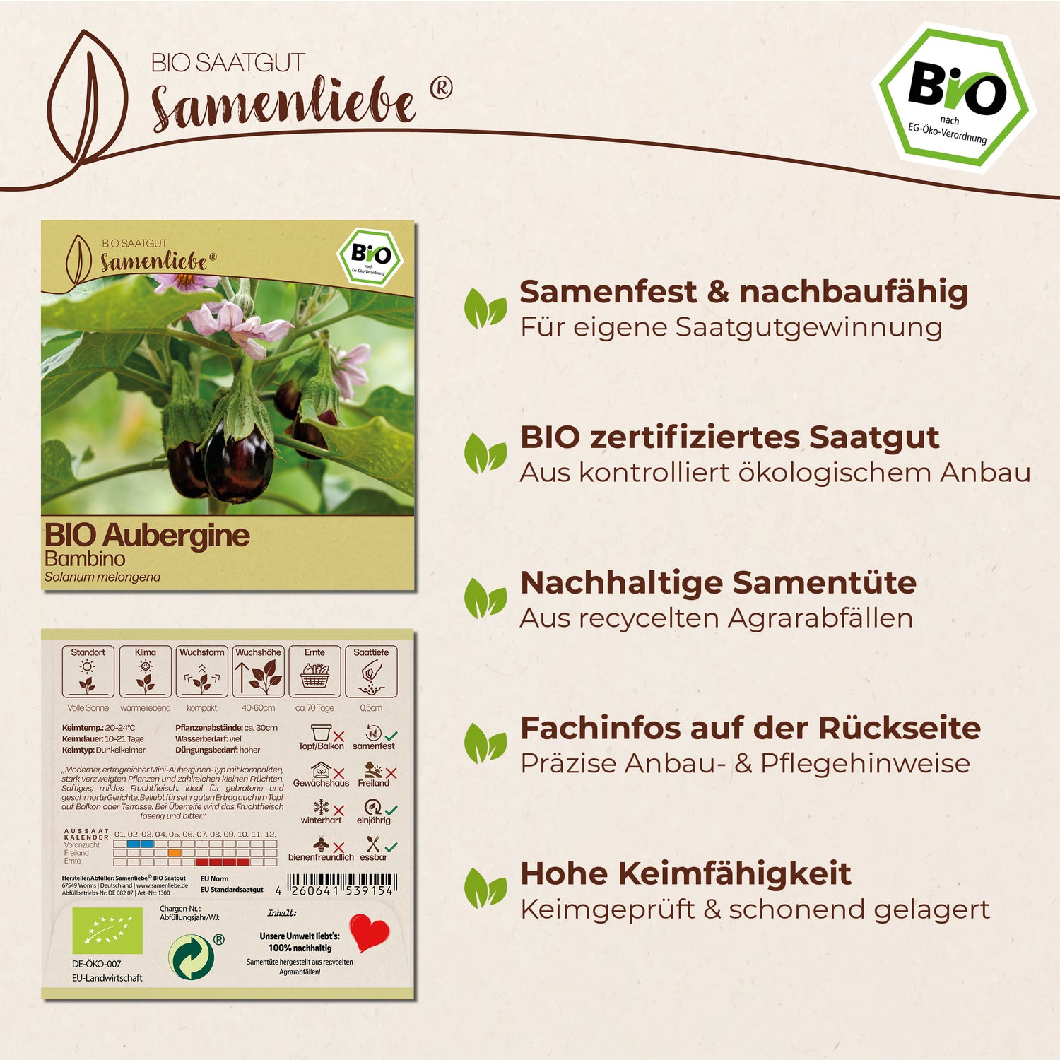 BIO Aubergine "Bambino"
