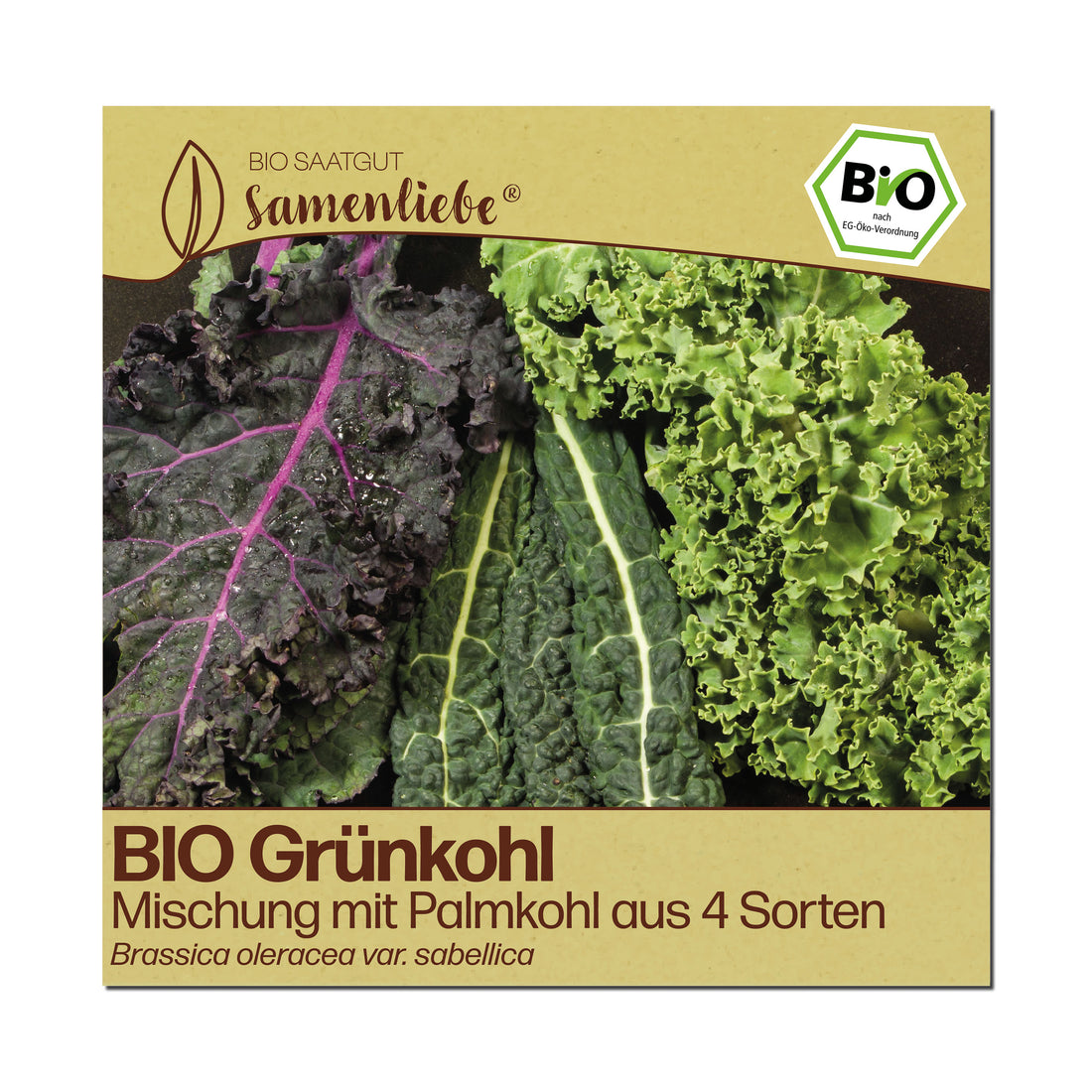 BIO Grünkohl "Mischung mit Palmkohl aus 4 Sorten"