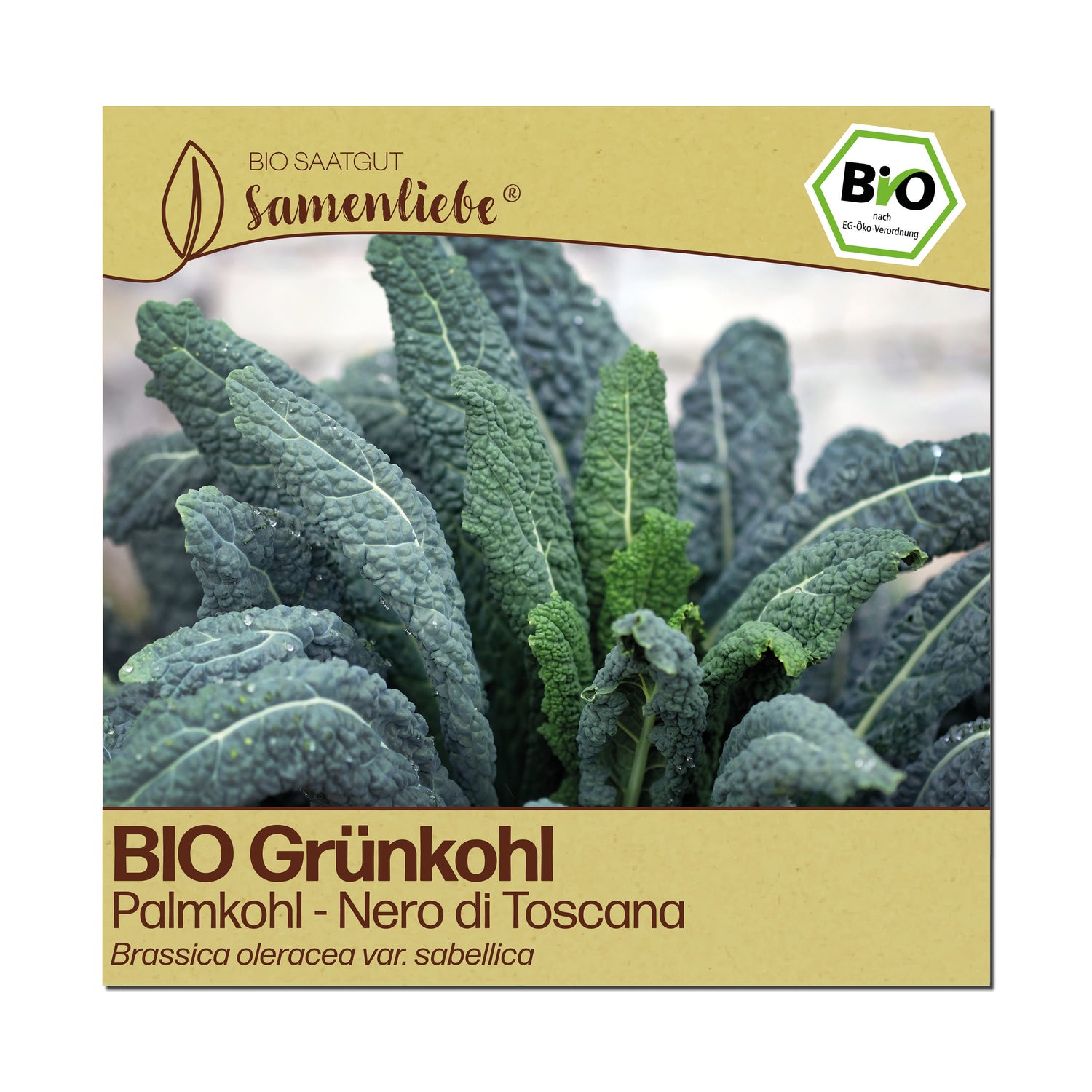 BIO Grünkohl "Nero di Toscana"