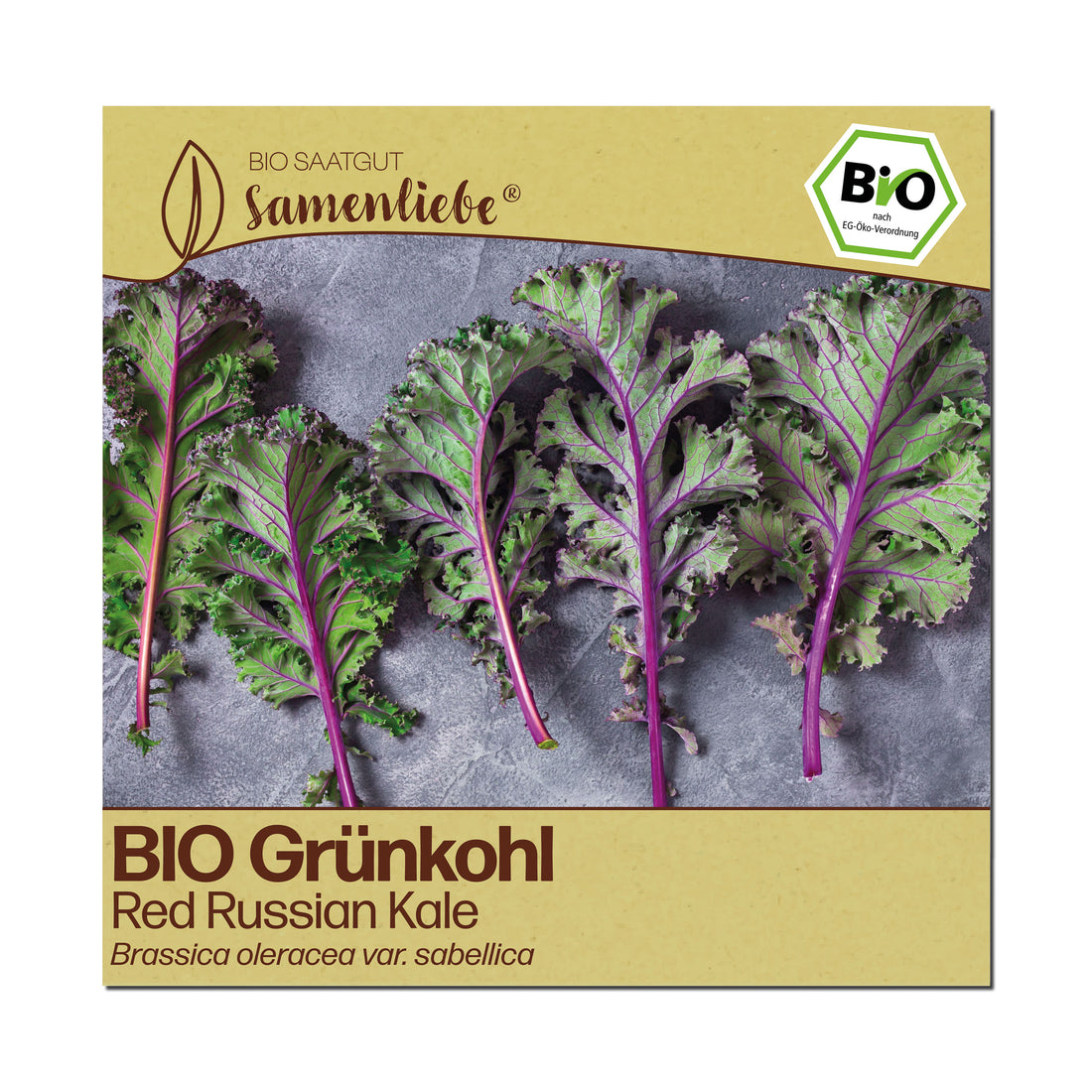 BIO Grünkohl "Red Russian Kale"