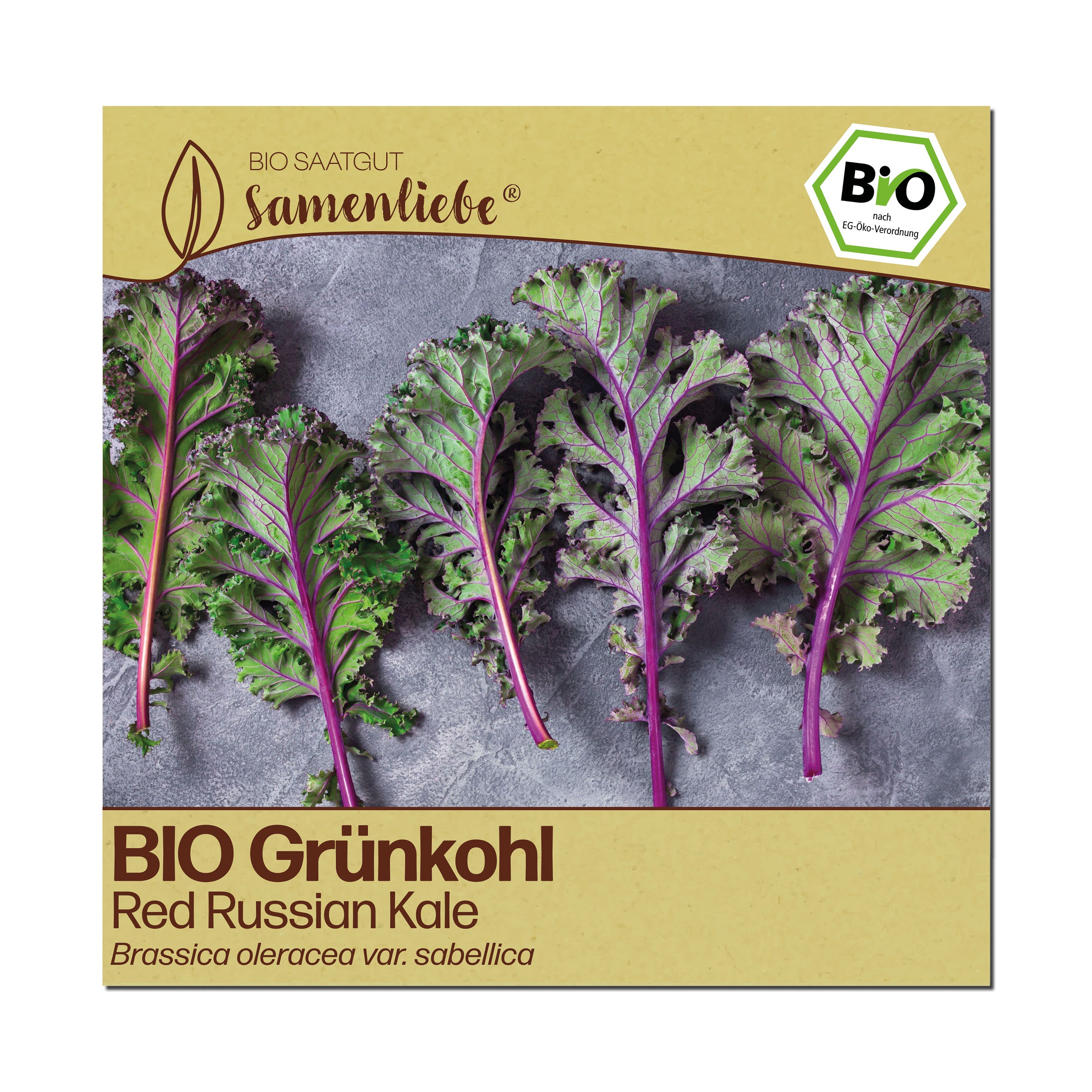 BIO Grünkohl "Red Russian Kale"