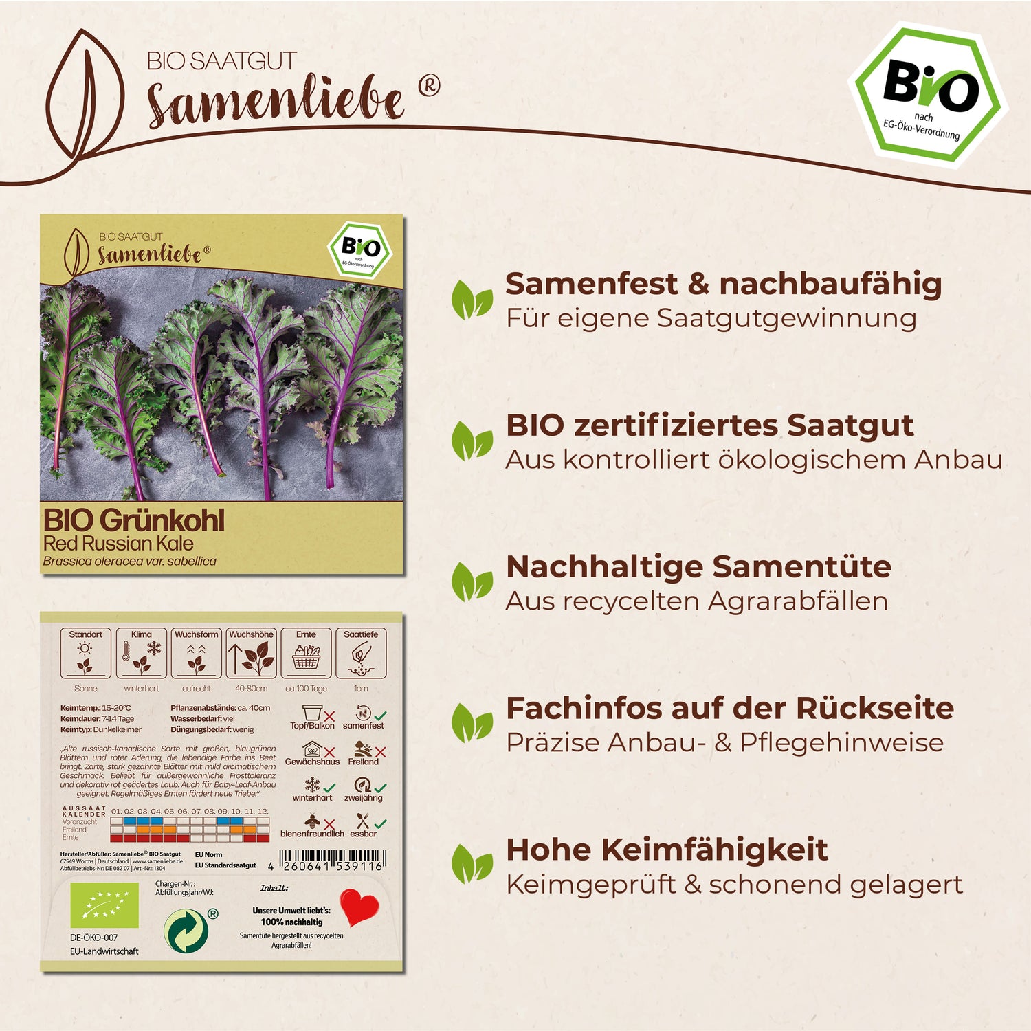 BIO Grünkohl "Red Russian Kale"