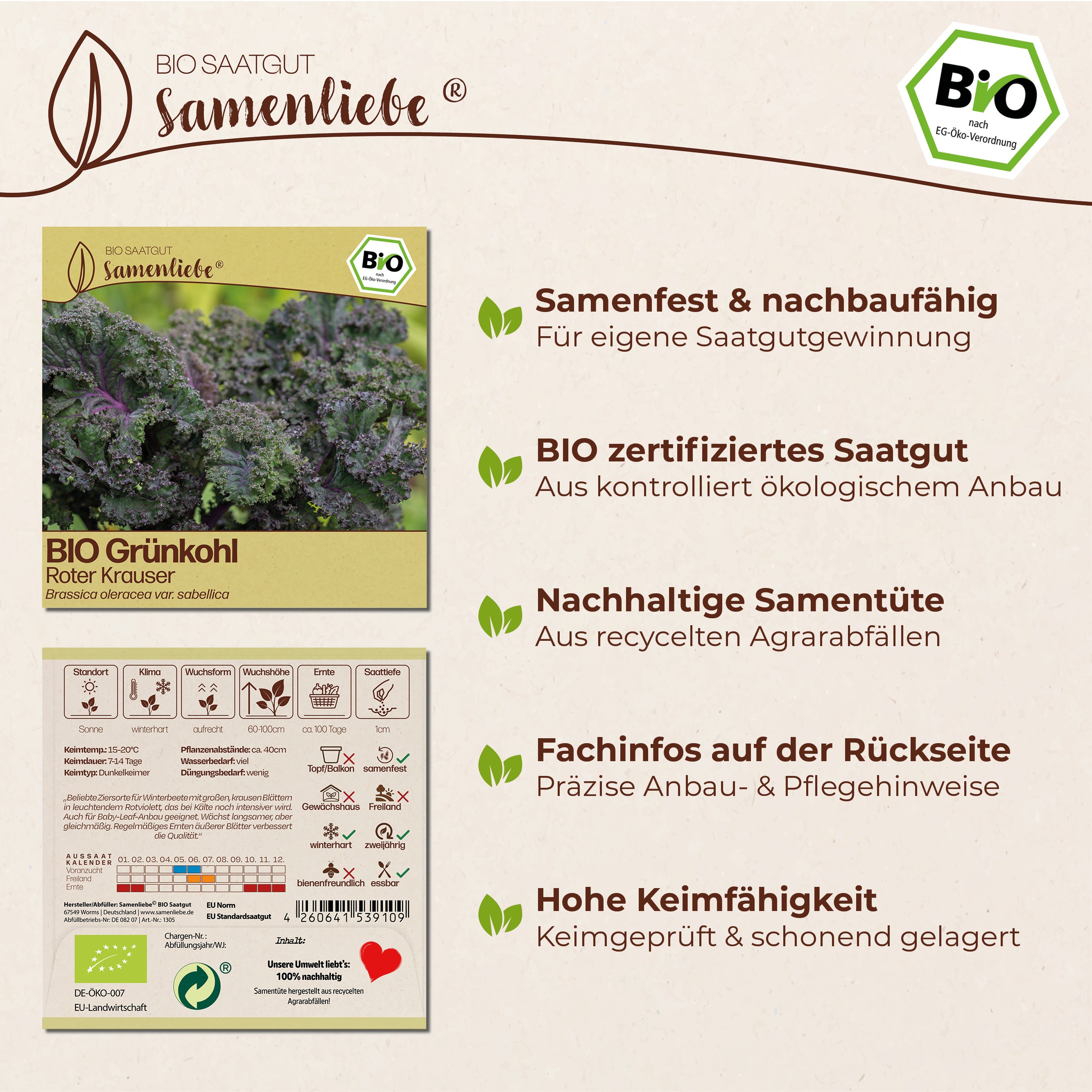 BIO Grünkohl "Roter Krauser"
