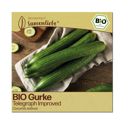 BIO Gurke "Telegraph Improved"