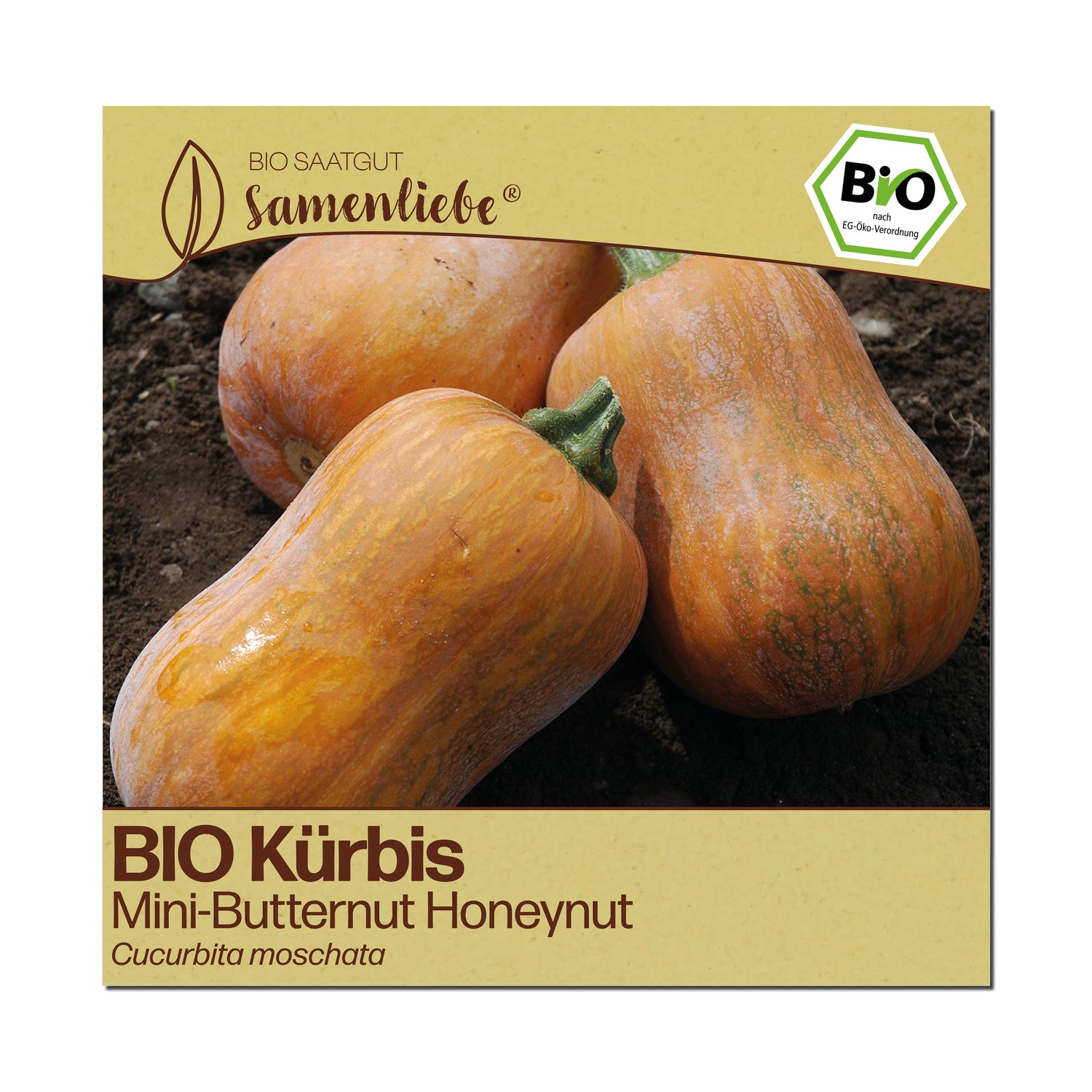 BIO Kürbis "Honeynut"