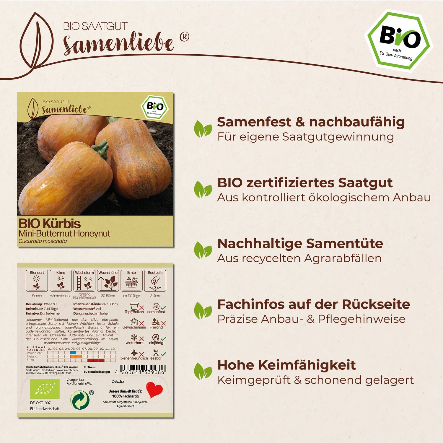 BIO Kürbis "Honeynut"