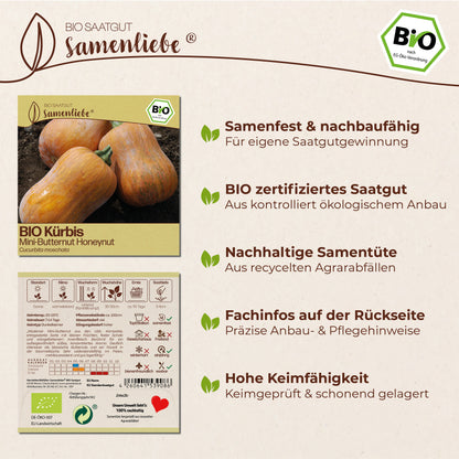 BIO Kürbis "Honeynut"