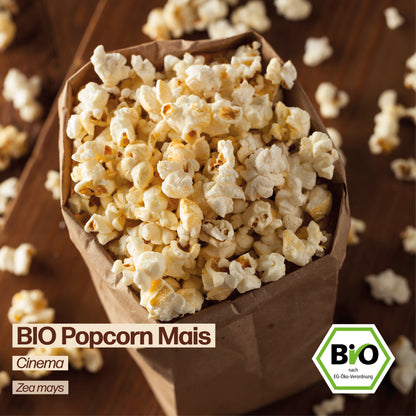 BIO Popcornmais "Cinema"