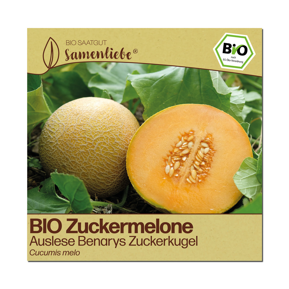 BIO Melone "Benarys Zuckerkugel"