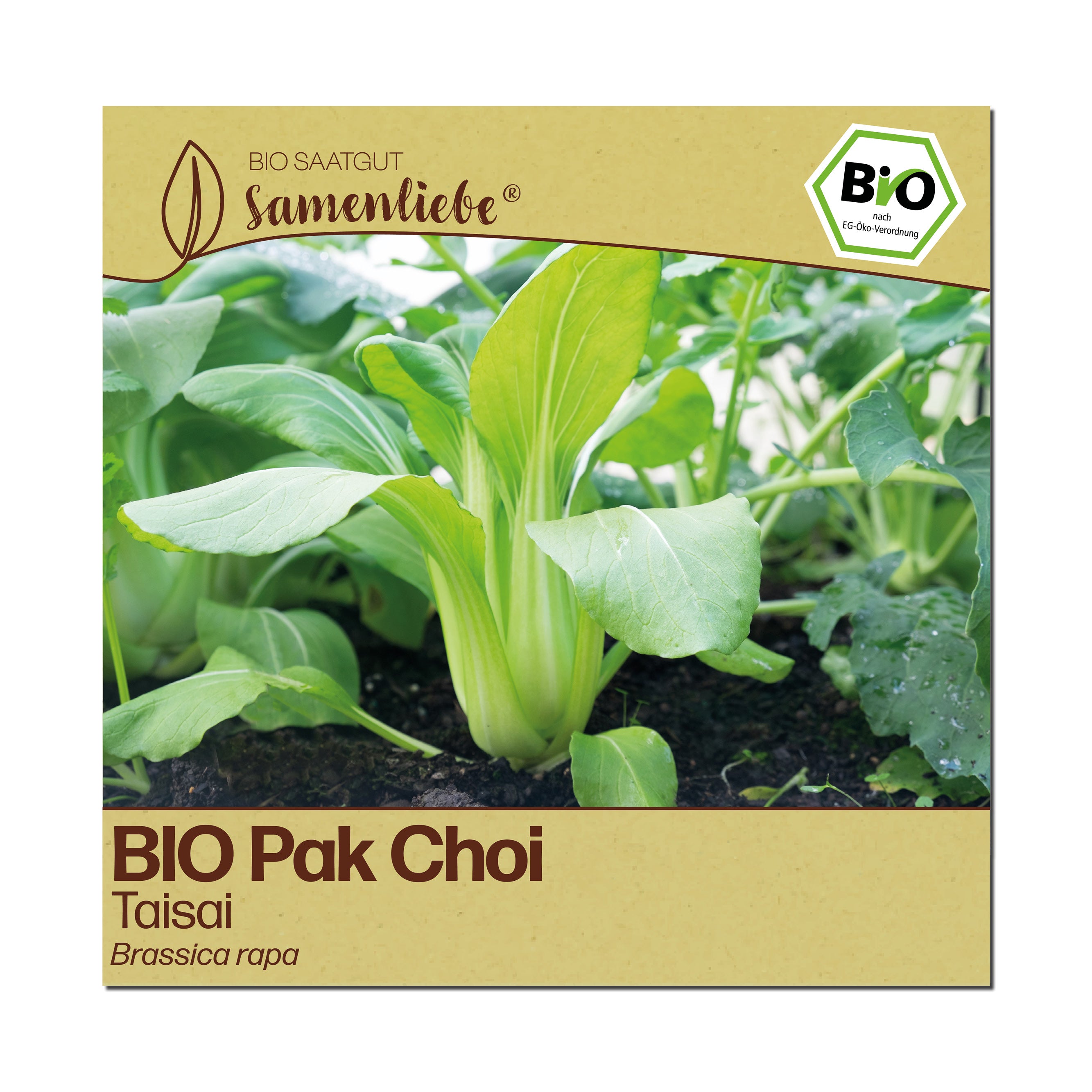 BIO Pak Choi "Taisai"