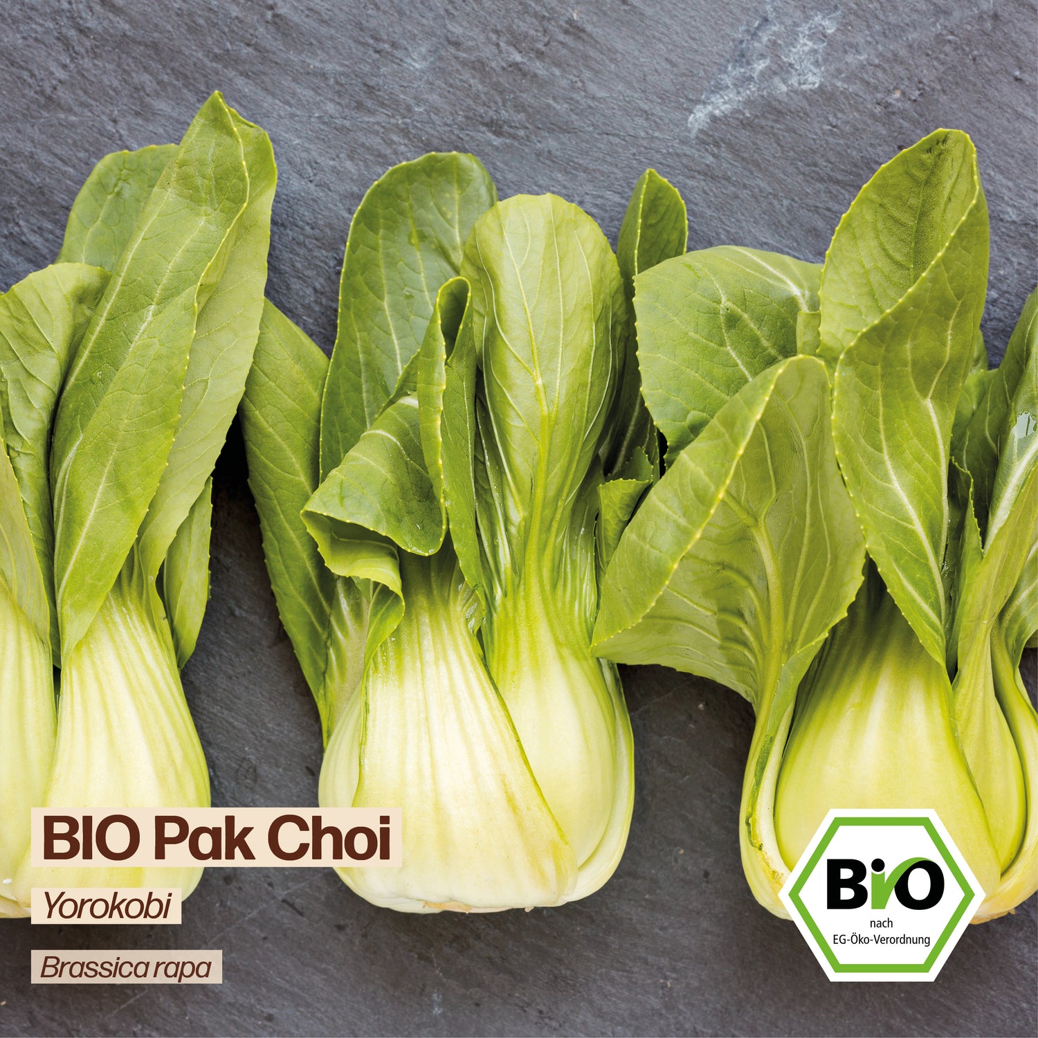BIO Pak Choi "Yorokobi"
