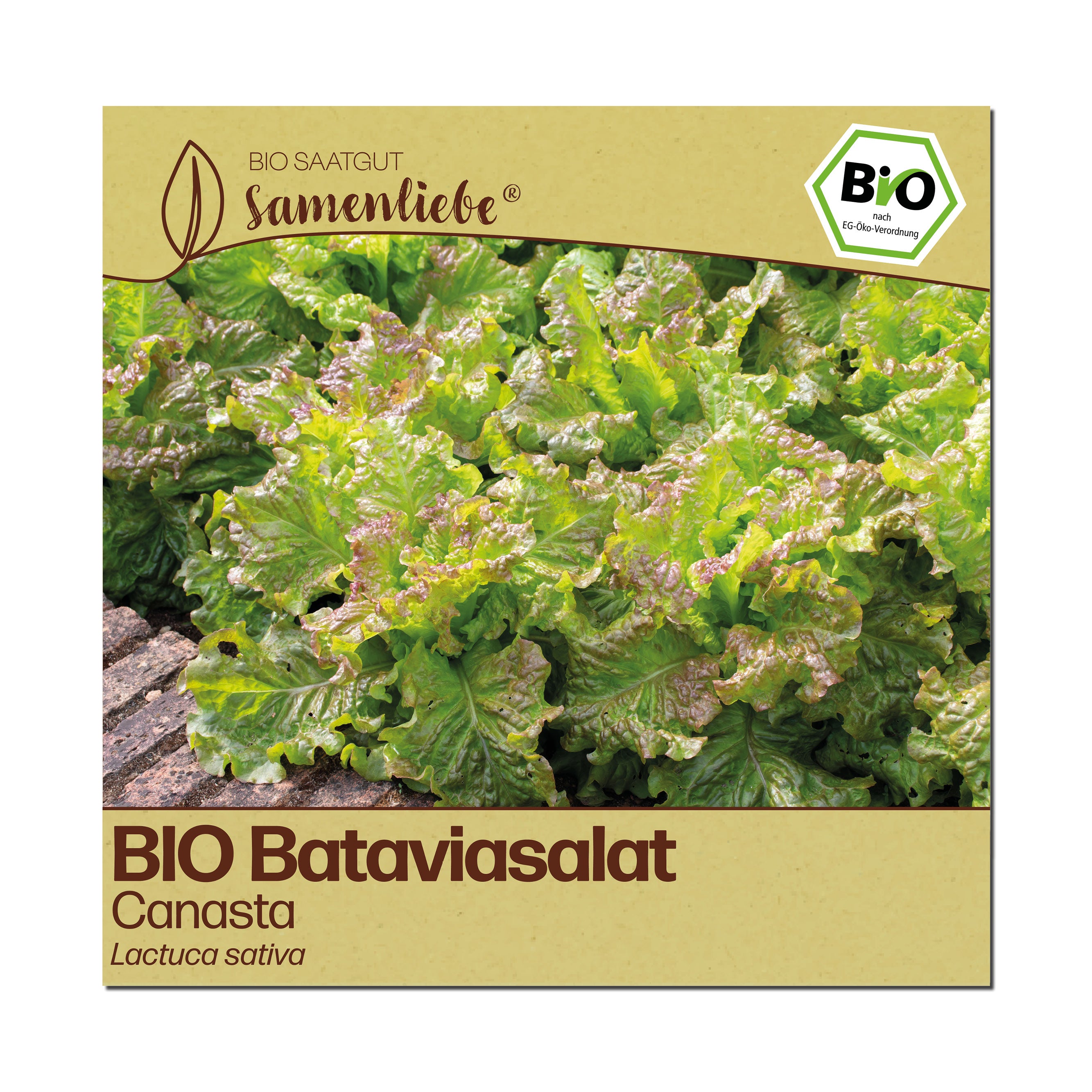 BIO Salat "Canasta"