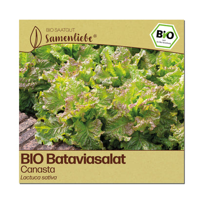 BIO Salat "Canasta"