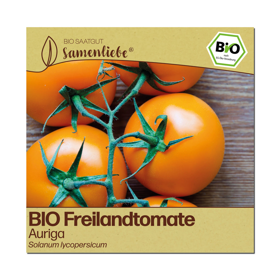 BIO Tomate "Auriga"