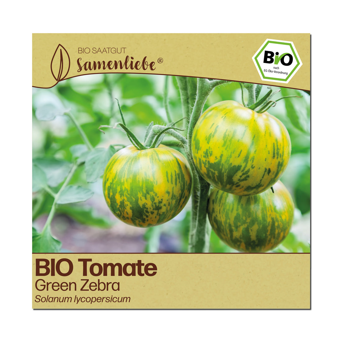BIO Tomate "Green Zebra"